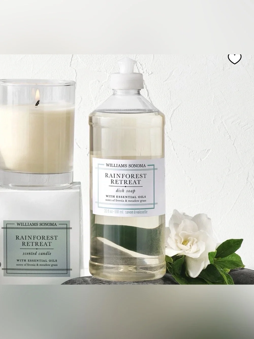 Williams Sonoma Rainforest Retreat Candle ~ 9 oz.